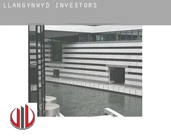 Llangynwyd  investors