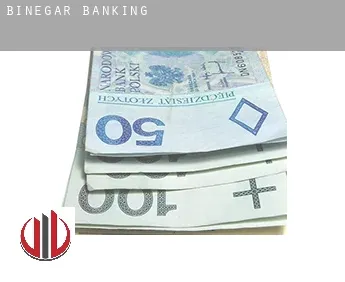 Binegar  banking