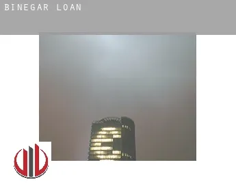 Binegar  loan