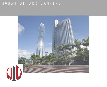 Haugh of Urr  banking