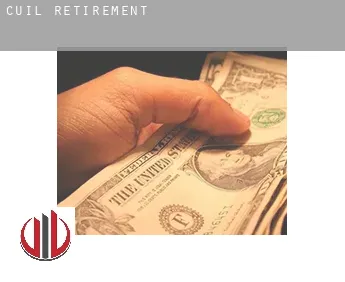 Cuil  retirement