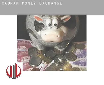 Cadnam  money exchange