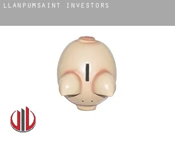 Llanpumsaint  investors