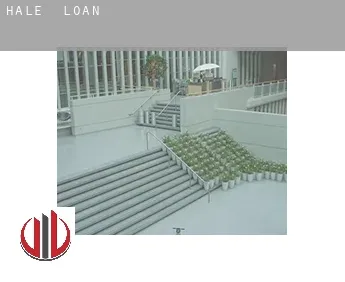 Hale  loan